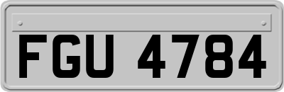 FGU4784