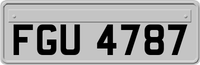FGU4787