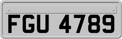 FGU4789
