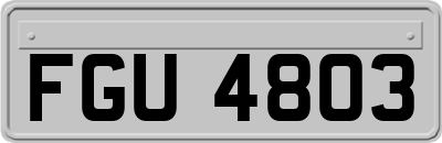 FGU4803