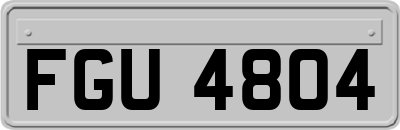 FGU4804