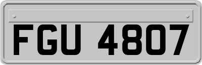 FGU4807