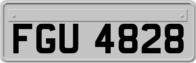 FGU4828