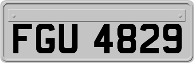 FGU4829