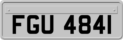 FGU4841