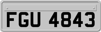 FGU4843