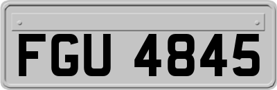 FGU4845