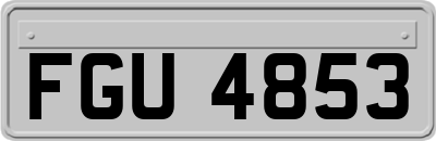 FGU4853