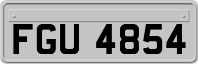 FGU4854
