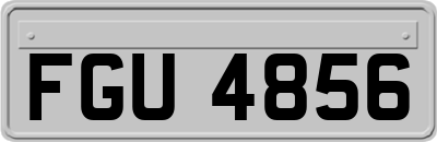 FGU4856