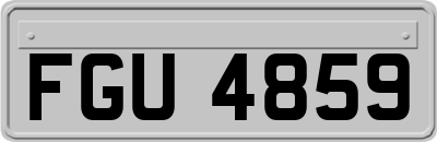 FGU4859