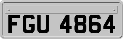 FGU4864