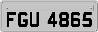 FGU4865