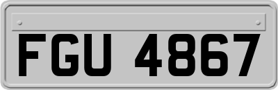 FGU4867