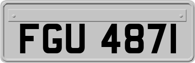 FGU4871