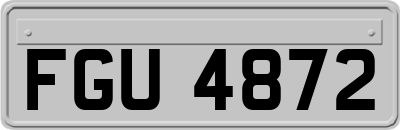 FGU4872