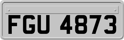 FGU4873