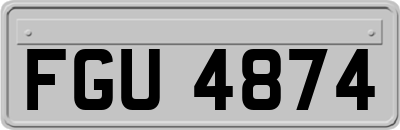 FGU4874