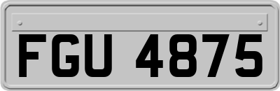 FGU4875