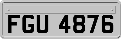 FGU4876