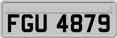 FGU4879