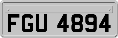 FGU4894
