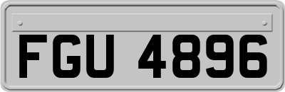 FGU4896