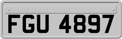 FGU4897