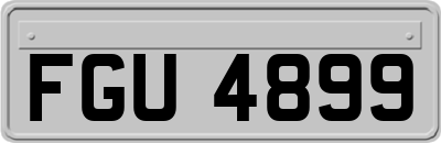 FGU4899
