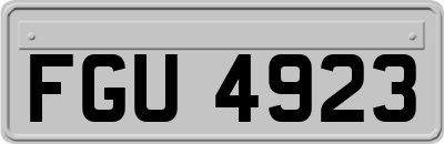 FGU4923