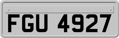 FGU4927