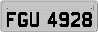 FGU4928