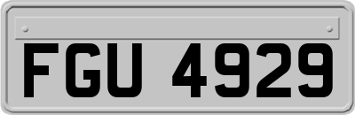 FGU4929