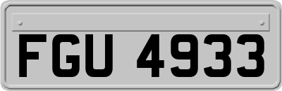 FGU4933