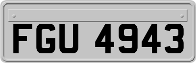 FGU4943
