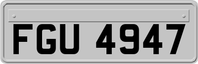 FGU4947