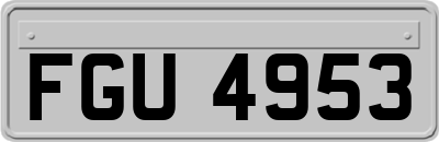 FGU4953
