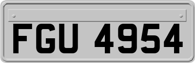FGU4954