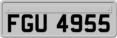 FGU4955