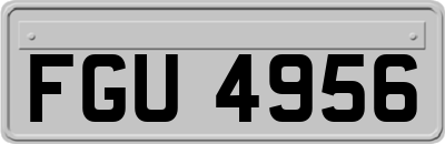 FGU4956