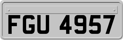FGU4957