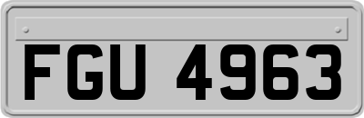 FGU4963