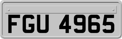 FGU4965