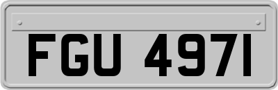 FGU4971