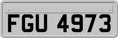 FGU4973