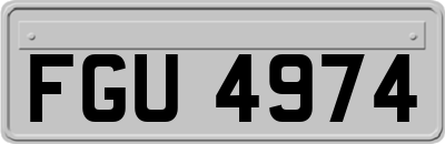 FGU4974