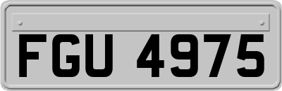 FGU4975