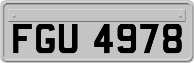 FGU4978