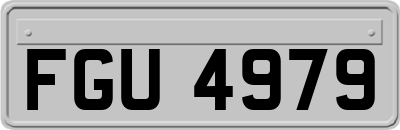 FGU4979
