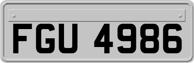 FGU4986